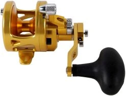 Avet SXJ 6/4 G2 NGP 2-Speed Reel - Gold (No Glide Plate) -Fishing Equipment Discount Store avet sxj 6 4 g2 rh gd ngp reel 63540.1675796443