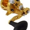 Avet SXJ 6/4 G2 NGP 2-Speed Reel - Gold (No Glide Plate) -Fishing Equipment Discount Store avet sxj 6 4 g2 rh gd ngp reel 95519.1675796442