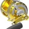 Avet T-RX 50W 2-Speed Lever Drag Big Game Reels Gold -Fishing Equipment Discount Store avet tr x 50w 2 speed lever drag big game reels ave 0022 3 96068.1650992317.386.513