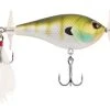 Berkley Spin Bomb -Fishing Equipment Discount Store berkley spin bomb 90993.1651003137.386.513