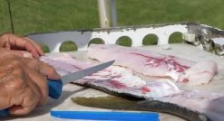 Cuda AquaTuff Fillet Knifes With Blade Cover -Fishing Equipment Discount Store cuda aquatuff fillet knifes with blade cover 54461.1676038842