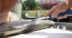 Cuda AquaTuff Fillet Knifes With Blade Cover -Fishing Equipment Discount Store cuda aquatuff fillet knifes with blade cover 74934.1676038841