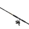 Daiwa BG Saltwater Spinning Combos -Fishing Equipment Discount Store daiwa bg saltwater spinning combos 43559.1651169801.386.513
