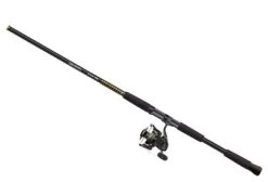 Daiwa BG Saltwater Spinning Combos