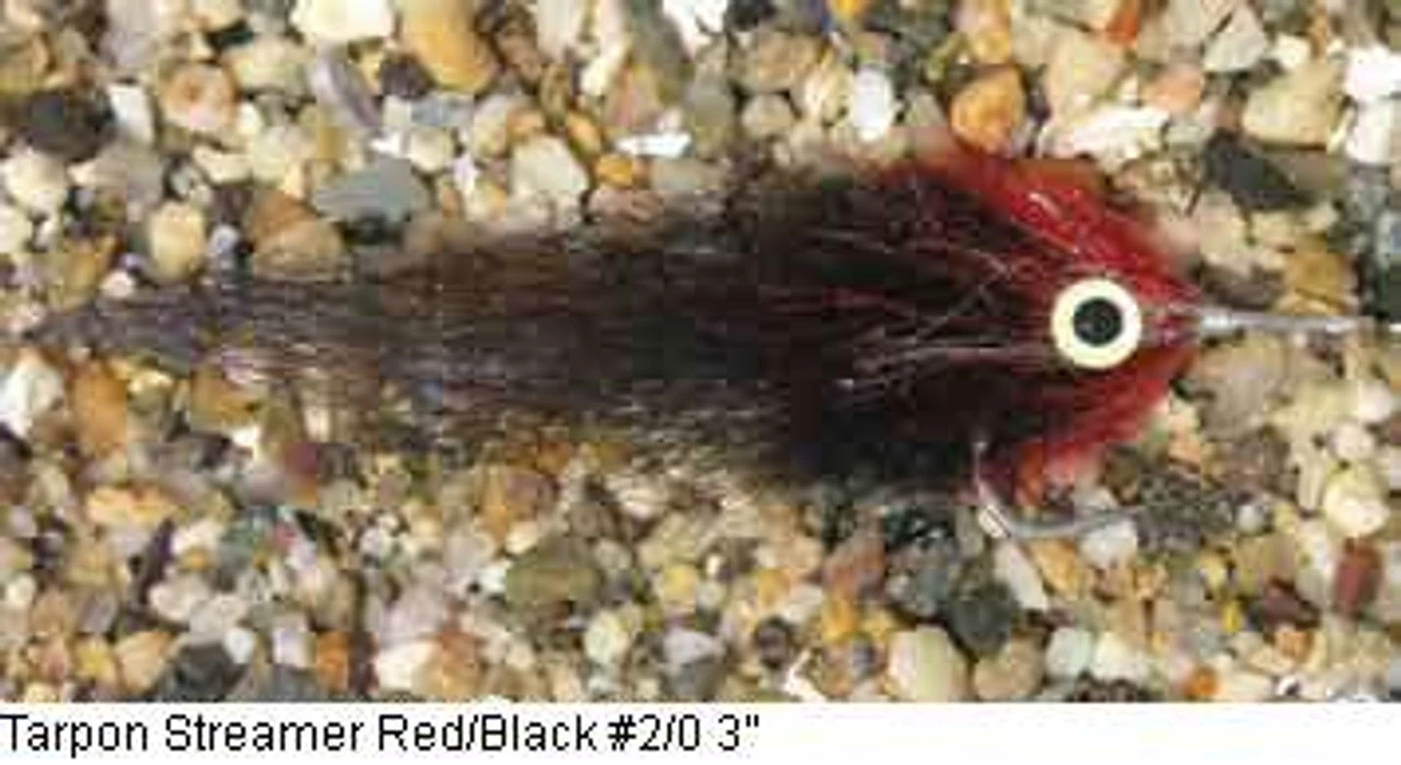 Enrico Puglisi Tarpon Streamer Saltwater Fly 5 Enrico Puglisi Tarpon Streamer Saltwater Fly - Image 3