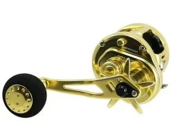Jigging World Eros Star Drag Conventional Reels 14 Jigging World Eros Star Drag Conventional Reels -Fishing Equipment Discount Store jigging world eros star drag conventional reels 27619.1666875656