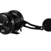 Jigging World Eros Star Drag Conventional Reels -Fishing Equipment Discount Store jigging world eros star drag conventional reels 74030.1666875651