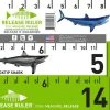 Land Shark Release Ruler -Fishing Equipment Discount Store land shark release ruler 10862.1651112067