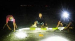 Land Shark Release Ruler 8 Land Shark Release Ruler -Fishing Equipment Discount Store land shark release ruler 11725.1651112068