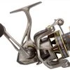 Team Lews Custom Pro Speed Spin Spinning Reels -Fishing Equipment Discount Store lews custom pro speed spin spinning reels 70424.1651028794