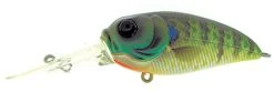 Molix Sculpo MR Rattlin Crankbait -Fishing Equipment Discount Store molix sculpo mr rattlin crankbait 35058.1651075820