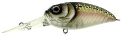 Molix Sculpo MR Rattlin Crankbait -Fishing Equipment Discount Store molix sculpo mr rattlin crankbait 57622.1651075817