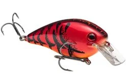 Strike King KVD Magnum Squarebill -Fishing Equipment Discount Store strike king kvd magnum squarebill 55064.1651321715