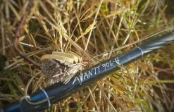 Thomas & Thomas Avantt Series Fly Rods -Fishing Equipment Discount Store thomas thomas avantt series fly rods 92418.1651330433