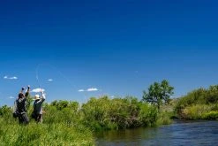 Thomas & Thomas Lotic Series Fly Rods -Fishing Equipment Discount Store thomas thomas lotic series fly rods 25489.1651330459