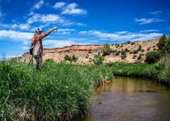 Thomas & Thomas Lotic Series Fly Rods -Fishing Equipment Discount Store thomas thomas lotic series fly rods 43205.1651330459