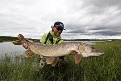 Thomas & Thomas Exocett Predator Fly Rod - 9 Ft. 4 In. - 45 Grain -Fishing Equipment Discount Store thomas thomas predator 94450 4 exocett predator fly rod 49198.1651330451